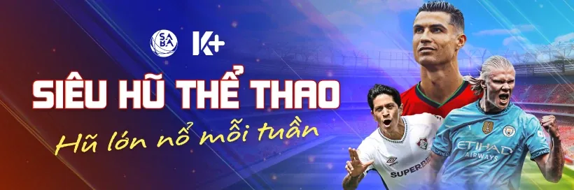 Hỗ trợ đăng nhập Go8